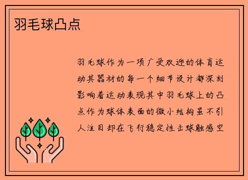 羽毛球凸点